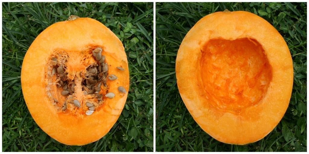 pumpkin halves