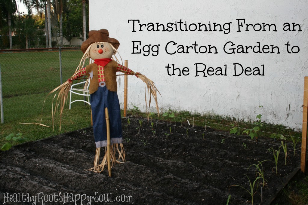 transitioning to a real garden