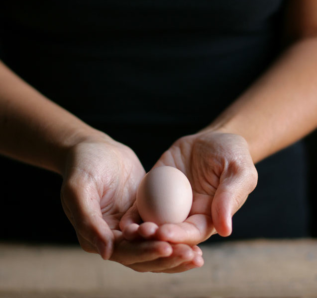 It might be weird to say but waiting for your first egg is like waiting for a baby to come. The roller coaster of emotions you go through is one of a kind.