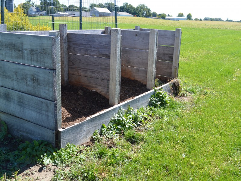 how-to-make-chicken-poop-into-fertilizer-for-your-garden-naturally-loriel