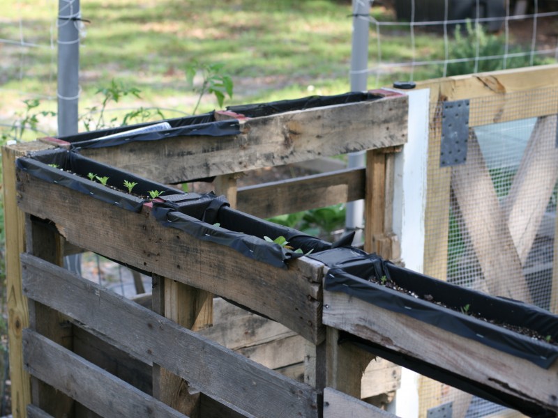 I love the idea of vertical gardening so I turned my extended pallet chicken run into a DIY pallet top garden to make the most of my space. Learn more here!