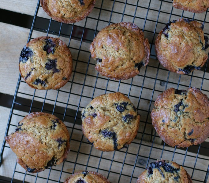 These buttermilk blueberry einkorn muffins turned out amazing; they're moist, spongey, have the perfect amount of sweetness, and have a hard, crusty top.