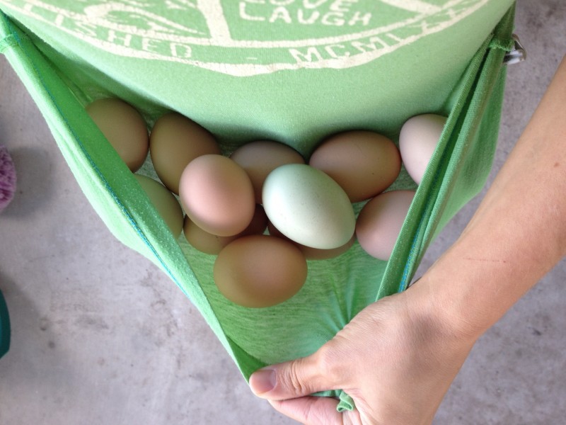 Mother Nature and Chickens have an awesome trick up their sleeve to keep eggs fresh. This trick is why I don't refrigerate my backyard eggs. Find out more!